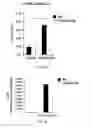 Fig. 07 - Use of PLA2G5-deficient suppressive macrophages in suppression of inflammation