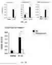 Fig. 08 - Use of PLA2G5-deficient suppressive macrophages in suppression of inflammation