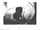 Fig. 02 - Fertilized egg isolate and uses thereof