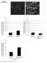 Fig. 02 - A METHOD OF TREATING OR PREVENTING SEPSIS