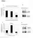 Fig. 03 - A METHOD OF TREATING OR PREVENTING SEPSIS