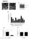 Fig. 14 - A METHOD OF TREATING OR PREVENTING SEPSIS