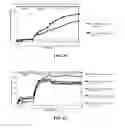 Fig. 04 - HIGH-STRENGTH ORAL TAXANE COMPOSITIONS AND METHODS