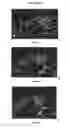 Fig. 08 - Methods for selecting antibodies that specifically bind glycosylated immune checkpoint proteins