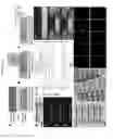 Fig. 02 - PROGRAMMABLE HYDROGEL IONIC CIRCUITS FOR BIOLOGICALLY MATCHED ELECTRONIC INTERFACES