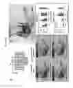 Fig. 05 - PROGRAMMABLE HYDROGEL IONIC CIRCUITS FOR BIOLOGICALLY MATCHED ELECTRONIC INTERFACES