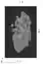 Fig. 02 - Systems and methods for the real-time generation of in-game, locally accessible barrier-aware heatmaps