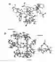 Fig. 06 - Ion pair catalysis of tungstate and molybdate