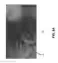 Fig. 06 - Wireless hands-free pointer system
