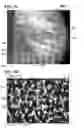 Fig. 09 - Flexible lightweight arc flash and flash fire resistant polyvinylchloride fabric and garments and methods therefor