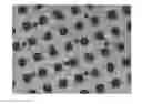 Fig. 01 - GRAVURE PRINTING PLATE AND METHOD FOR PRODUCING GRAVURE PRINTING PLATE