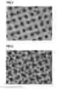 Fig. 02 - GRAVURE PRINTING PLATE AND METHOD FOR PRODUCING GRAVURE PRINTING PLATE