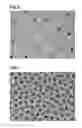 Fig. 06 - GRAVURE PRINTING PLATE AND METHOD FOR PRODUCING GRAVURE PRINTING PLATE