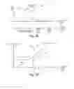 Fig. 04 - Density modulated auto-duplexing