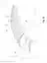 Fig. 08 - BICYCLE WHEEL RIM AND WHEEL COMPRISING IT