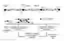 Fig. 01 - Method of Maintaining Separation Between Vehicles in a Fixed Guideway Transportation System Using Dynamic Block Control