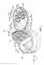 Fig. 16 - Measured volume dispensing closure, closure having overlapping cover members, and methods