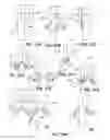 Fig. 32 - Clamping device with single movable jaw
