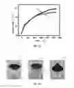 Fig. 08 - Multilayer body, preparation method therefor and use thereof