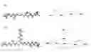 Fig. 07 - Aziridinyl containing compounds and methods of inactivating nucleic acid molecules using the same