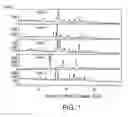 Fig. 02 - Solid forms of 2-(4-chlorophenyl)-N-((2-(2,6-dioxopiperidin-3-yl)-1-oxoisoindolin-5-yl)methyl)-2,2-difluoroacetamide, and their pharmaceutical compositions and uses