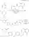 Fig. 1237 - Heterocyclic compounds and uses thereof