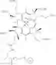 Fig. 49 - COMPOUNDS LINKED WITH A SACCHARIDE METAL COMPLEX AND USES THEREOF