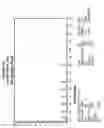 Fig. 07 - AROMATIC-CATIONIC PEPTIDES AND USES OF SAME