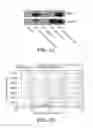 Fig. 02 - Wnt/sFRP complexes, Wnt-containing compositions, Wnt-expressing cells, and methods of making, purifying, and using same