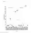 Fig. 02 - Interferon alpha and omega antibody antagonists