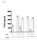 Fig. 07 - Interferon alpha and omega antibody antagonists
