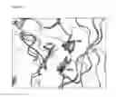 Fig. 27 - Interferon alpha and omega antibody antagonists