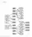 Fig. 30 - Interferon alpha and omega antibody antagonists