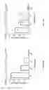 Fig. 65 - Anti-CD38 antibodies and methods of use