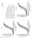 Fig. 77 - Anti-CD38 antibodies and methods of use
