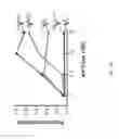 Fig. 80 - Anti-CD38 antibodies and methods of use
