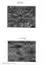 Fig. 08 - Polysulfone-urethane copolymer, membranes and products incorporating same, and methods for making and using same