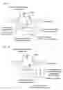 Fig. 02 - Methods and compositions for RNA-directed target DNA modification and for RNA-directed modulation of transcription