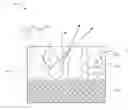 Fig. 01 - White appearing anodized films