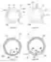 Fig. 03 - Spring assemblies, applications of spring assemblies, and related methods