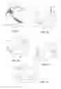 Fig. 03 - Valve and closure member