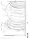 Fig. 06 - Fluid fitting