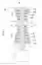Fig. 02 - Gas turbine combustor flame holder