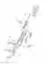 Fig. 04 - Modular weapon having a striking mechanism for triggering a firing pin