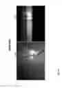 Fig. 08 - Spectral-spatial imaging device
