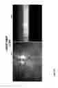 Fig. 09 - Spectral-spatial imaging device