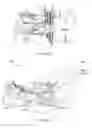 Fig. 06 - System and Method for Biological Specimen Mounting