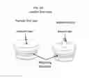 Fig. 101 - Vacuum liquid extraction and purification systems and methods