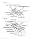 Fig. 91 - Vacuum liquid extraction and purification systems and methods