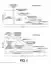 Fig. 02 - METHOD OF DETECTION OF CLINICALLY SIGNIFICANT POST-PRANDIAL HYPERGLYCEMIA IN NORMOGLYCEMIC PATIENTS